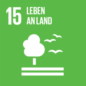 World Cleanup Day: Die Altmark räumt auf!