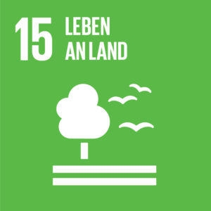 Cleanup Day altmarkweit
