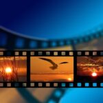 Filmenachmittage im Haus der Flüsse