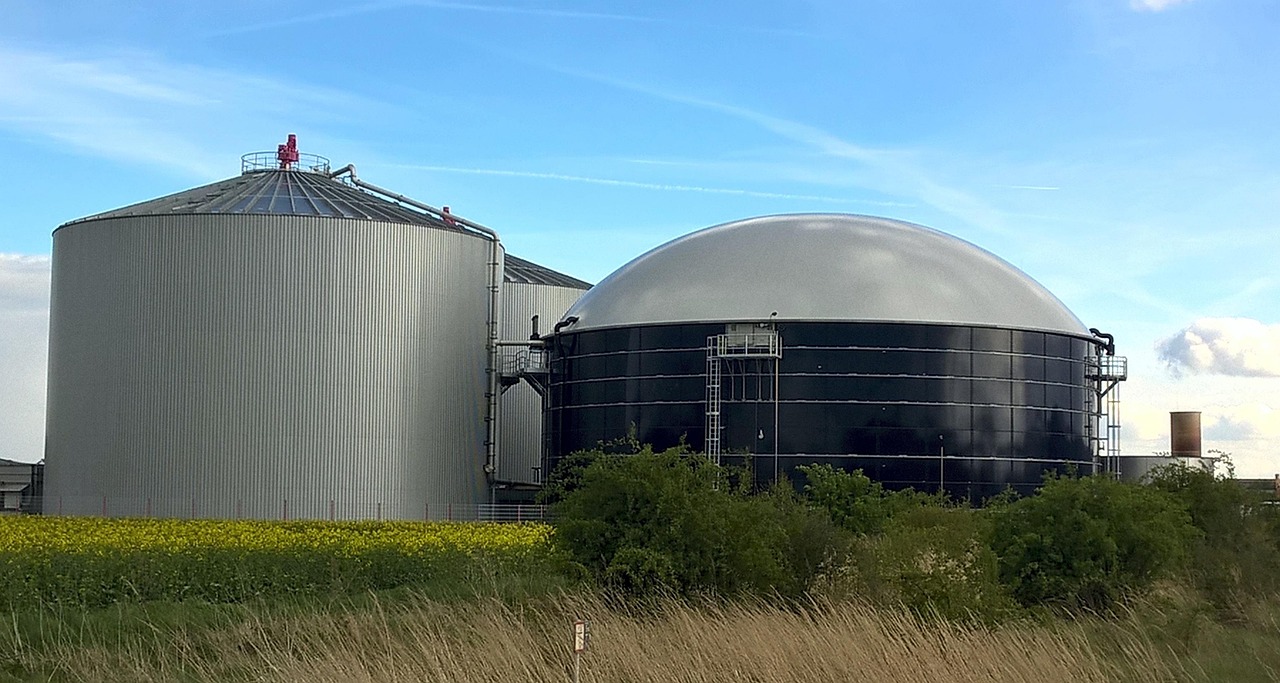 Themenabend: Energie aus Biomasse